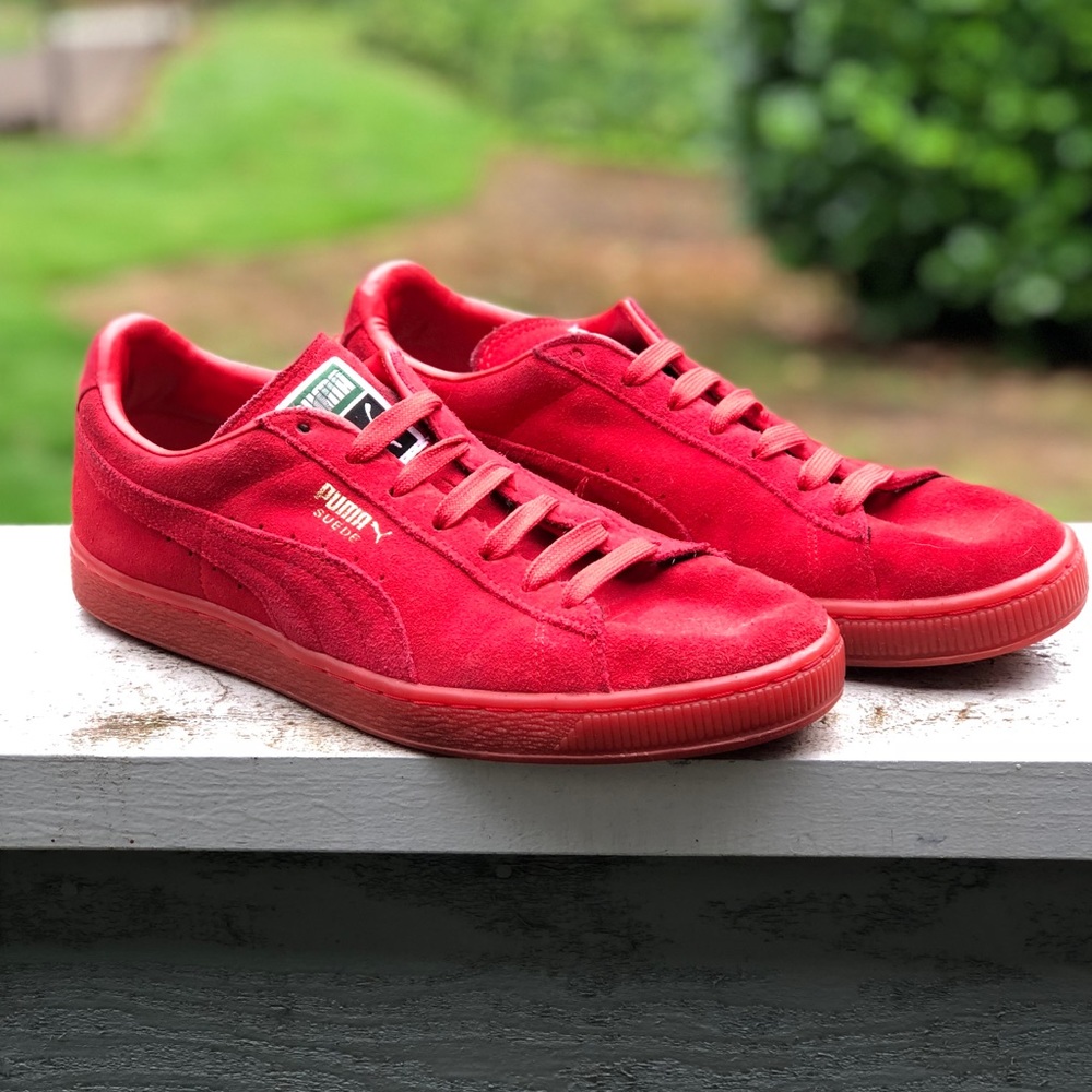 Pumas